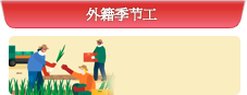 外籍季节工